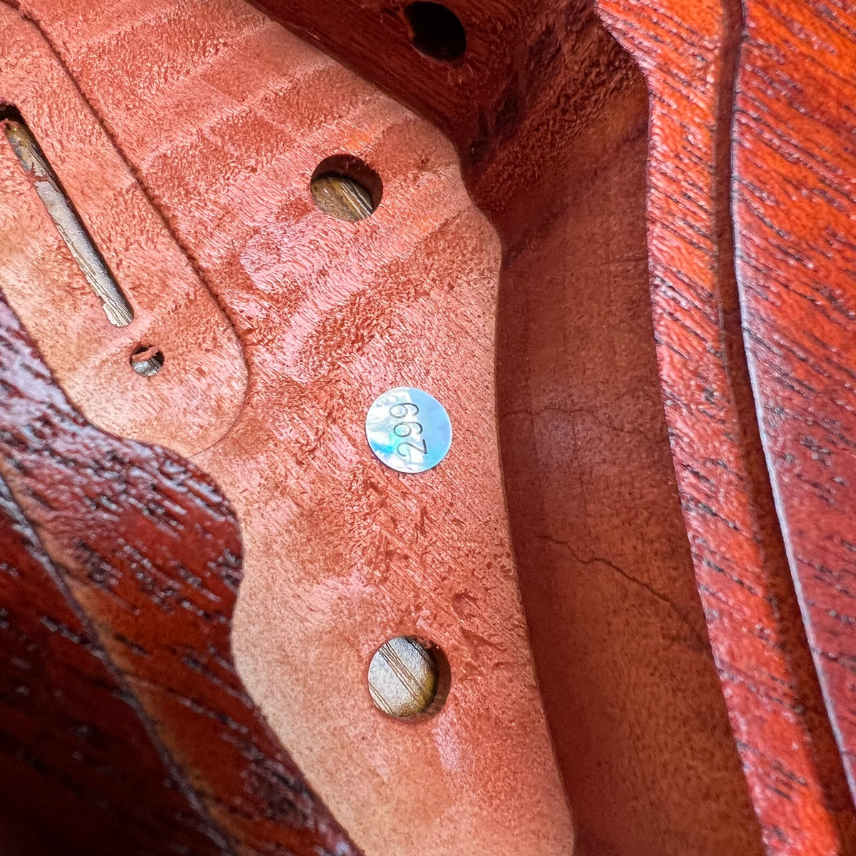Flamed maple guitar body close-up with mounting holes and hardware recesses