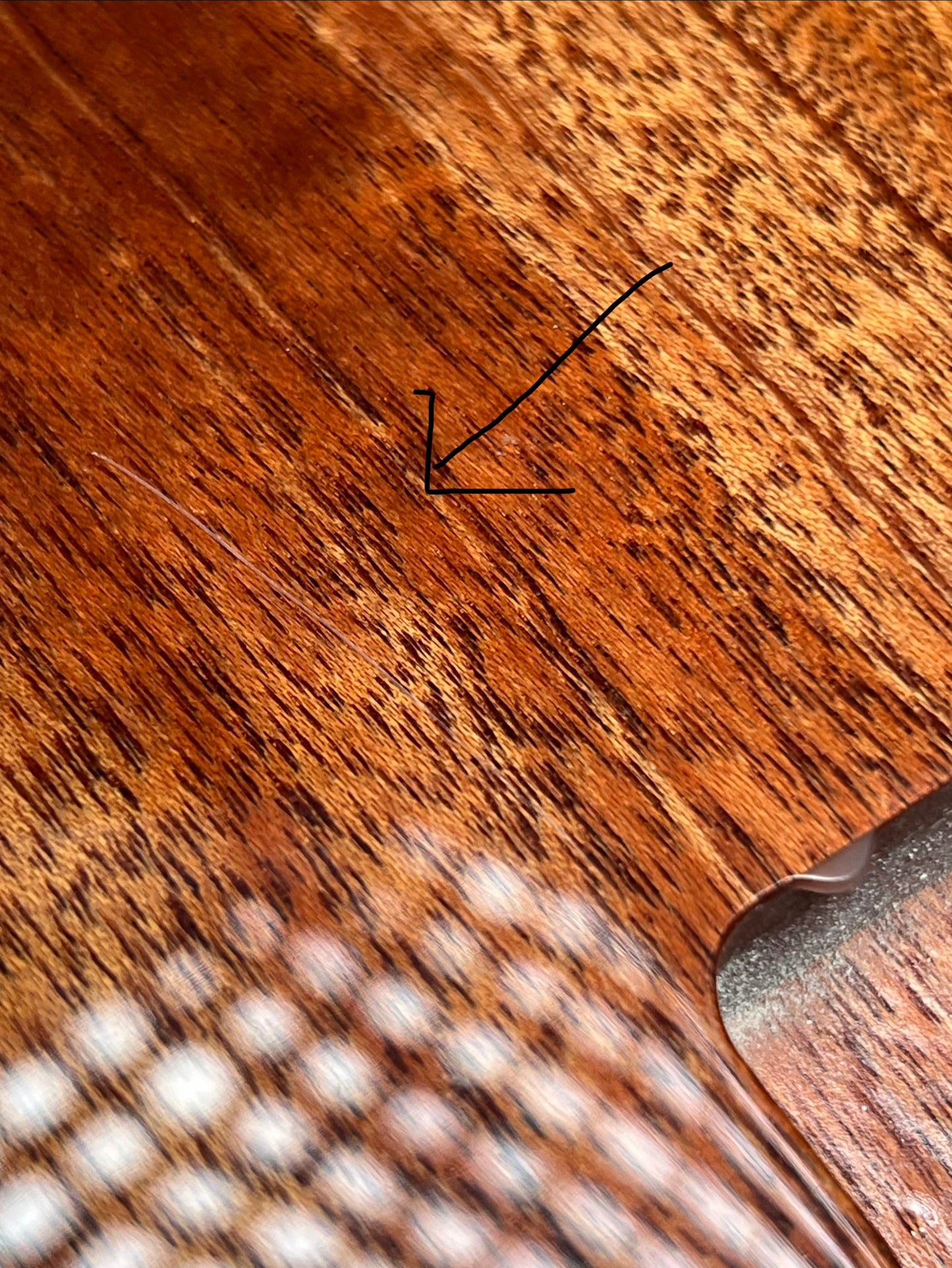 Warmtone CG 5a Flamed Maple Telecaster Guitar Body "Caribbean Burst”